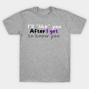 I’ll like you after I get to know you demisexual T-Shirt